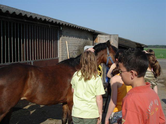 Boerderij 040.jpg